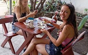 Hostal Natural